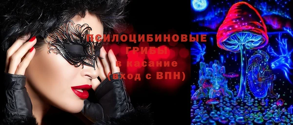 гидра Сафоново