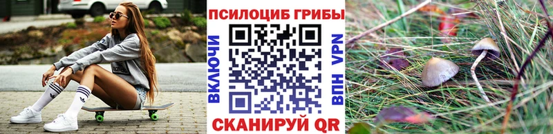 Галлюциногенные грибы MAGIC MUSHROOMS  Лыткарино 