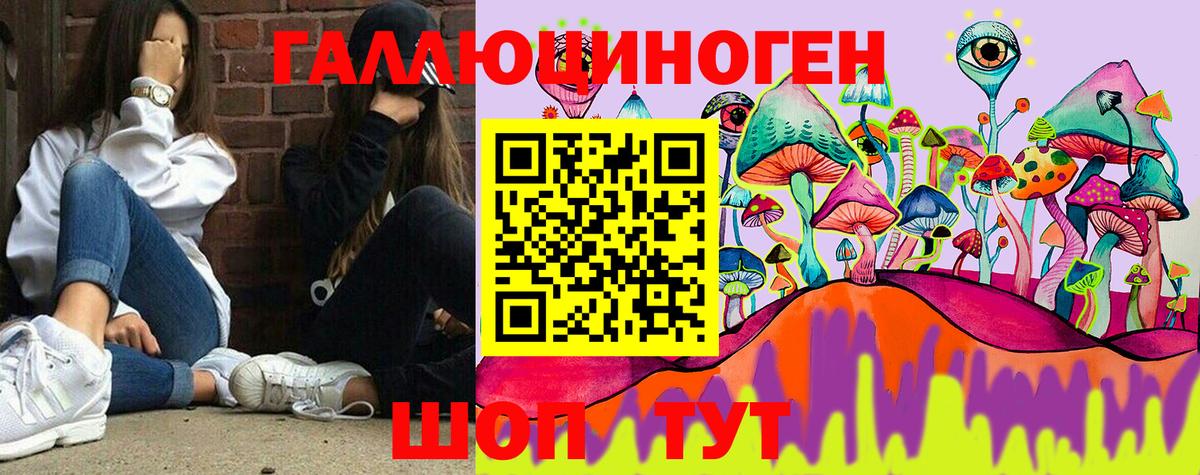 Галлюциногенные грибы Psilocybe Лыткарино