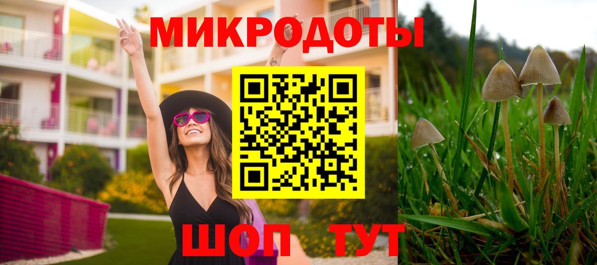Псилоцибиновые грибы MAGIC MUSHROOMS  Вход с VPN  Лыткарино 